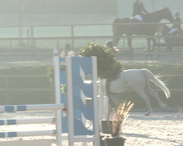Reitturnier St. Ulrich am Pillersee 2023