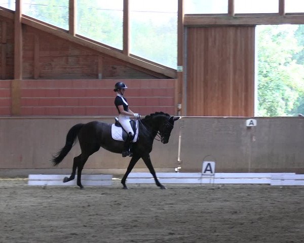 Reitturnier Dortmund-Barop 2023