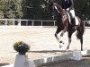 dressage horse Feiner Flori 2 (German Sport Horse, 2017, from Fürstenball)