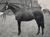 stallion Erin's Pride xx (Thoroughbred, 1945, from Fairfax xx)