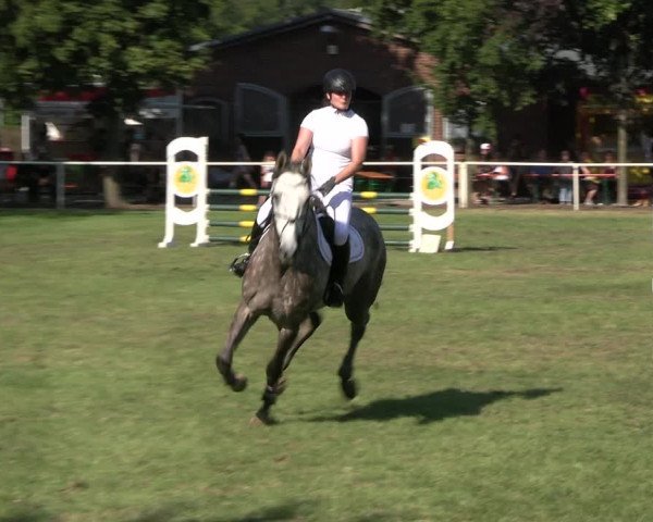 Reitturnier Münchehofe 2023
