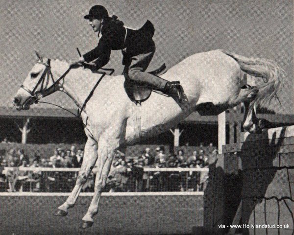 broodmare Treeyews Iona Lass (Welsh-Pony (Section B), 1943)