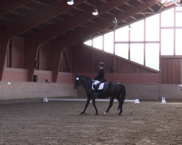 Reitturnier Dortmund-Barop 2021