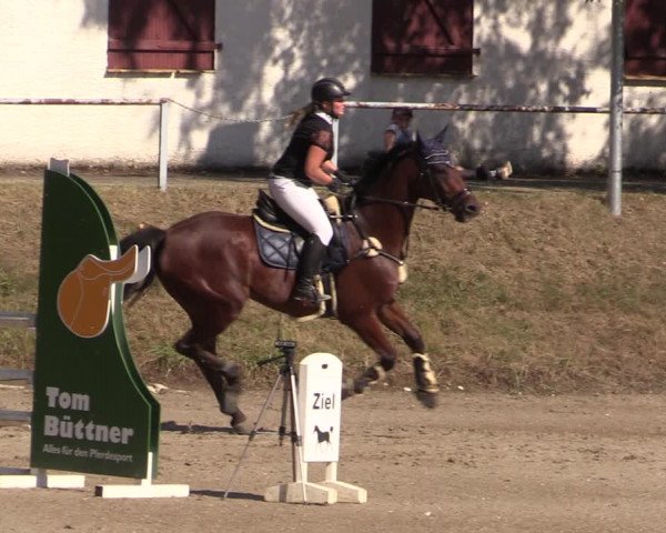 Reitturnier Langenleuba - Oberhain 2023
