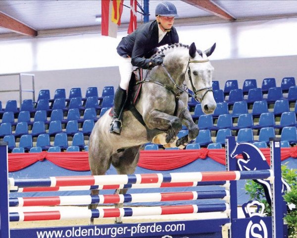 broodmare Rose of Heaven W (Oldenburg show jumper, 2010, from Calato)