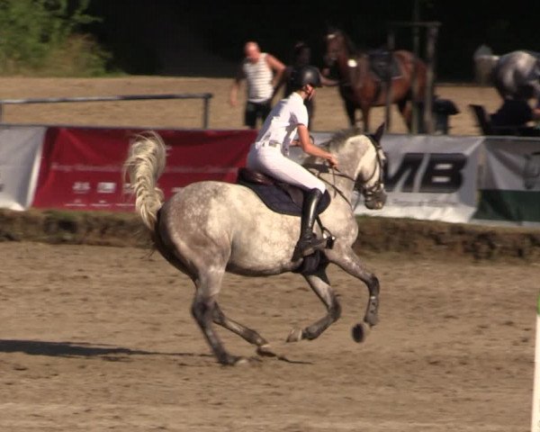 Reitturnier Langenleuba - Oberhain 2023