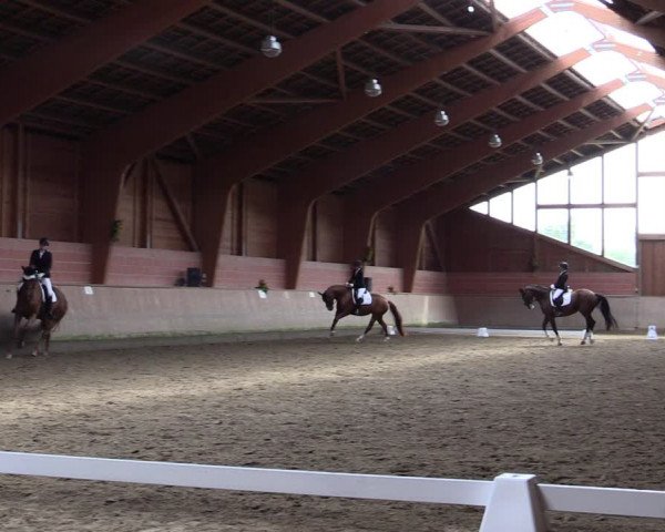 Reitturnier Dortmund-Barop 2021