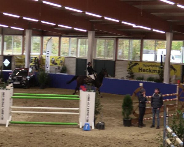 Euregio Springturnier Isterberg 2021