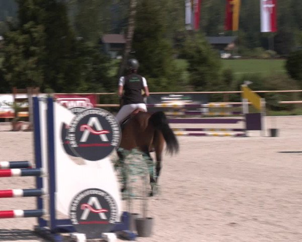 Reitturnier St. Ulrich am Pillersee 2023
