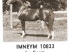 Deckhengst Imneym ox (Vollblutaraber, 1956, von Geym ox)