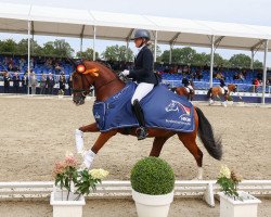 dressage horse Ninja Warrior (German Riding Pony, 2019, from Fs Numero Uno)