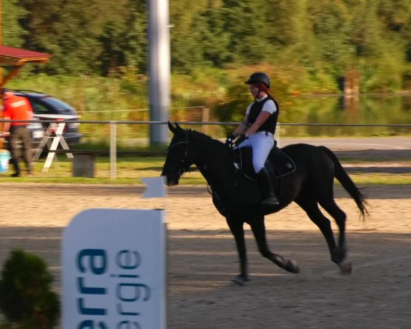 Reitturnier Bad Liebenstein/Sorga 2023