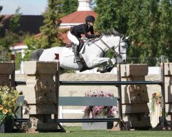 jumper Comielfo (Holsteiner, 2016, from Comme il Faut)