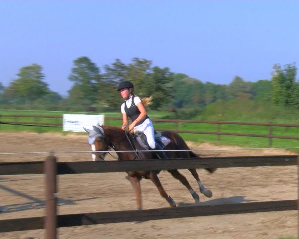 Reitturnier Hooksiel 2023