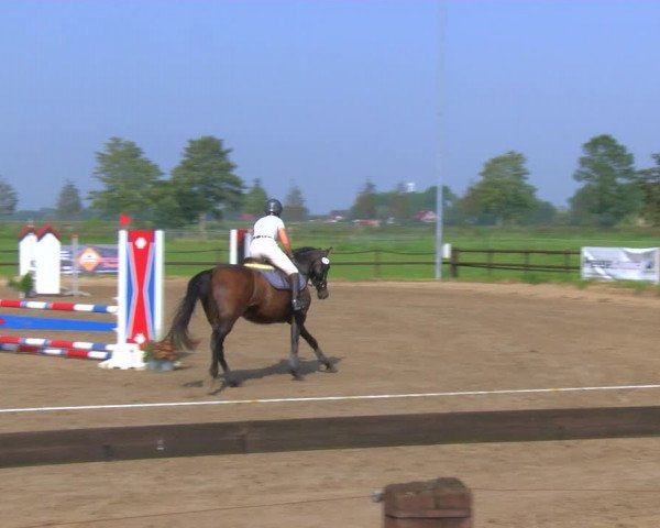 Reitturnier Hooksiel 2023