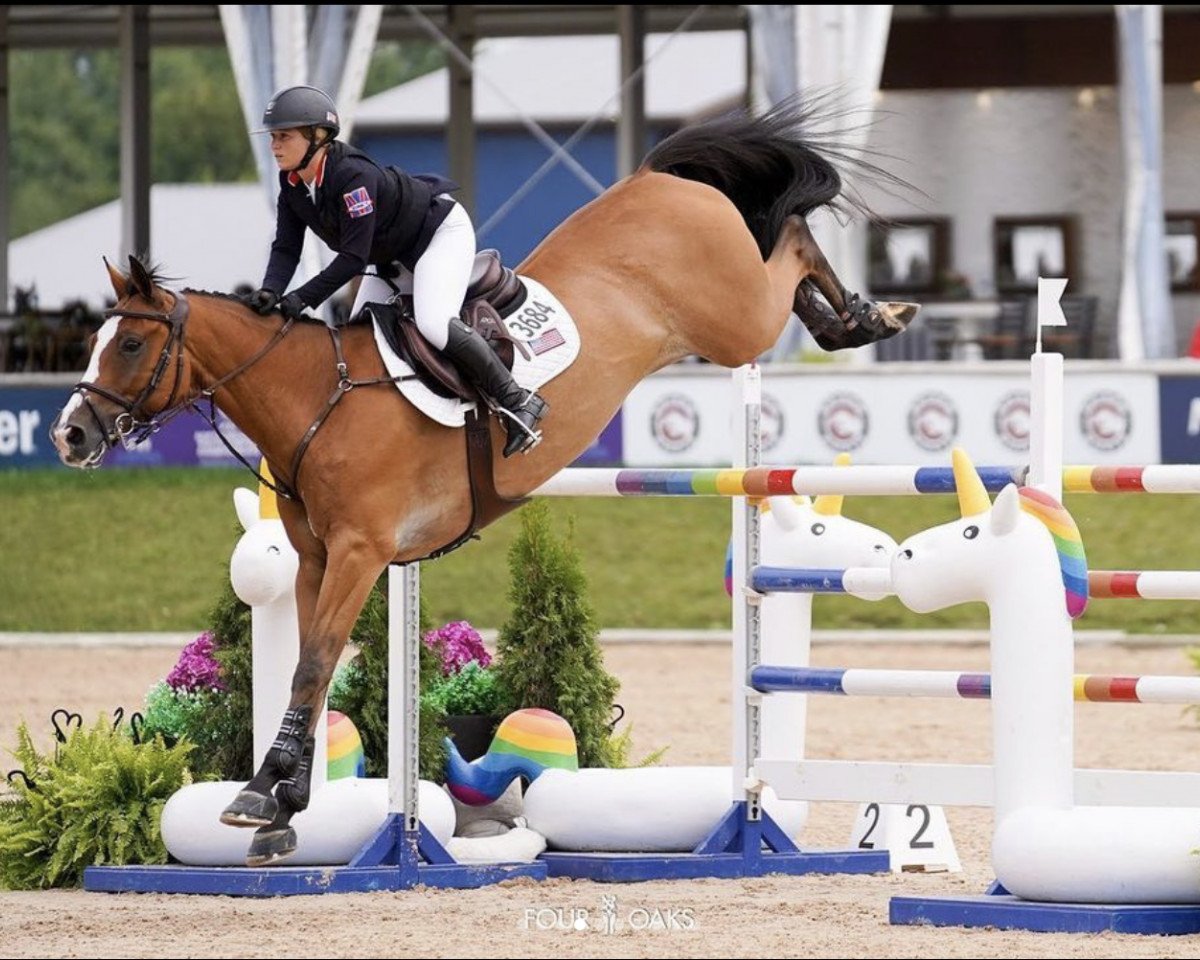 jumper Hyperbolics (KWPN (Royal Dutch Sporthorse), 2012, from Berlin)