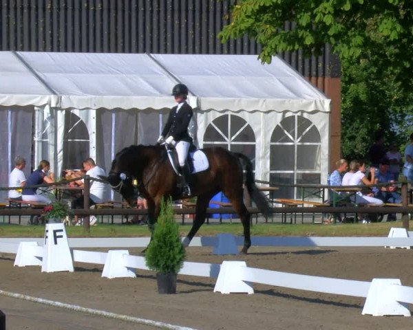 Reitturnier Hooksiel 2023
