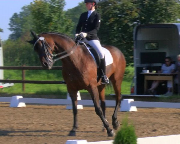 Reitturnier Hooksiel 2023