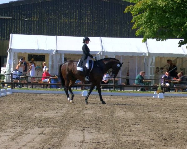 Reitturnier Hooksiel 2023