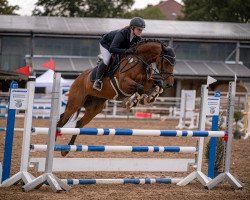 jumper Bacardi Queen (Holsteiner, 2018, from Brantzau)