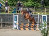 jumper Fabio 161 (Hanoverian, 2016, from Tannenhof's Fahrenheit)