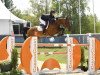 jumper Chaccotilino PS (Oldenburg show jumper, 2015, from Chacco-Blue)