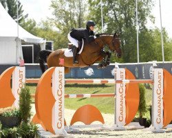 jumper Chaccotilino PS (Oldenburg show jumper, 2015, from Chacco-Blue)