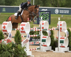 jumper Chaccolina D (Hanoverian, 2013, from Chacco-Blue)