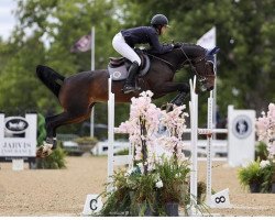 jumper SVS Attraction (Irish Sport Horse, 2015, from Air Jordan Z)