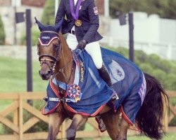 jumper Pippi (Hanoverian, 2009, from Perigueux)