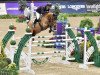 jumper Quick Step (Hanoverian, 2013, from Quintender 2)