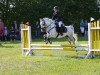 Dressurpferd Greenhills Shy Logan (Welsh Mountain Pony (Sek.A), 2015)