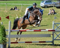 Springpferd Clintos (Holsteiner, 2010, von Clintord)