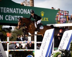 broodmare Contha Stara (Oldenburg show jumper, 2012, from Conthargos)