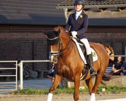 dressage horse Rinelli Dancer C (Rhinelander, 2014, from Raschid N)