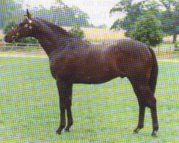 stallion Ottergayle xx (Thoroughbred, 1985, from Lord Gayle xx)