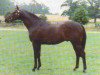 stallion Ottergayle xx (Thoroughbred, 1985, from Lord Gayle xx)