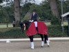 dressage horse El Amore van de Kempenhoeve (Belgian Warmblood, 2010, from San Amour I)