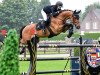 jumper Val de Vauxelles Z (Zangersheide riding horse, 2011, from Va-Vite)