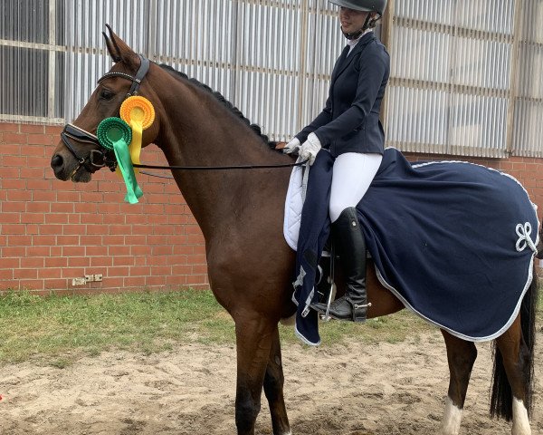 dressage horse Lemoncello JS (Hanoverian, 2015, from Londontime)