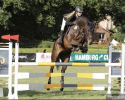 jumper Ella Fitzgerald (Oldenburg show jumper, 2016, from VDL Groep Ovatio)