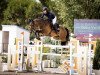 jumper Oddur van Beaugaarde (Belgian Warmblood, 2014, from Toulon)