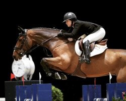 jumper Fascination (KWPN (Royal Dutch Sporthorse), 2010, from Vingino)