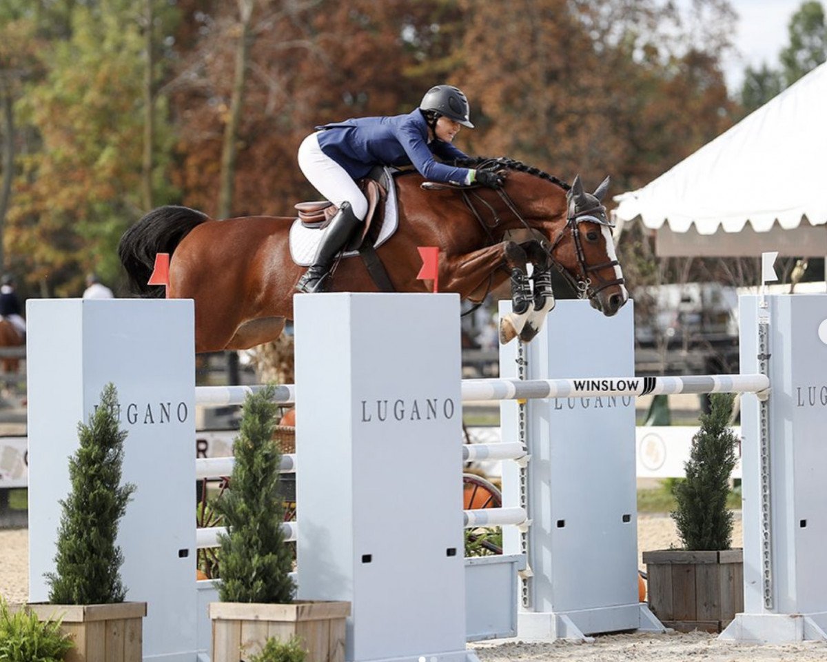 Springpferd Halibo van Texelhof (Belgisches Warmblut, 2007, von Catwalk 19)