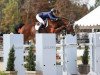 Springpferd Halibo van Texelhof (Belgisches Warmblut, 2007, von Catwalk 19)