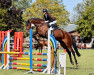 broodmare Gilrada (Oldenburg show jumper, 2009, from Diarado)