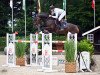 jumper Como Bellini (German Sport Horse, 2013, from Comme il Faut)