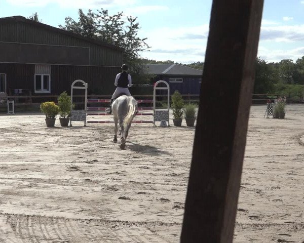Reitturnier Scharnebeck 2023