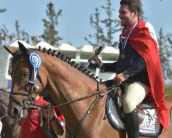 jumper Lupo P (KWPN (Royal Dutch Sporthorse), 2016, from Grandorado TN)