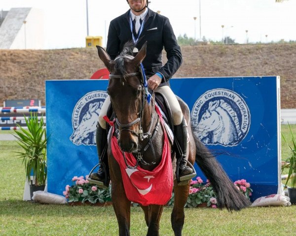 Springpferd Lavita (KWPN (Niederländisches Warmblut), 2016, von I'm Special de Muze)